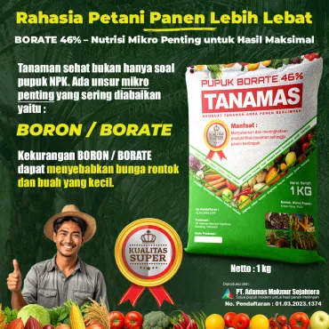 Pupuk Tanamas Borat 46% (1 Kg)